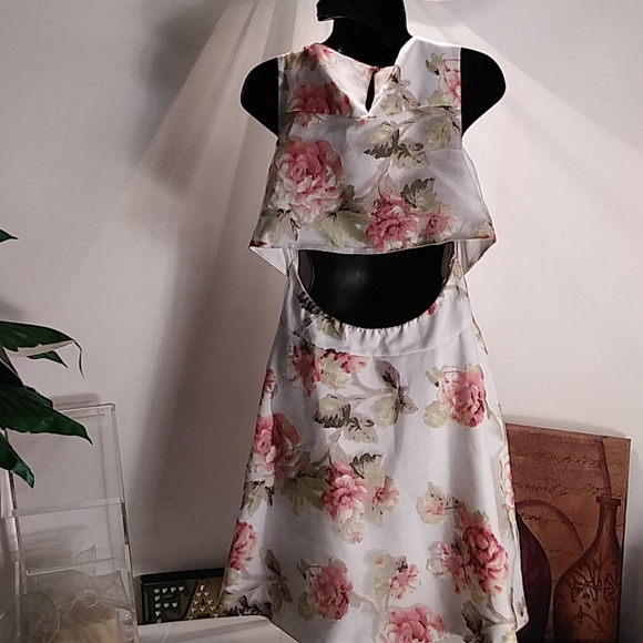 Gianni Bini - Picture 4 of 6